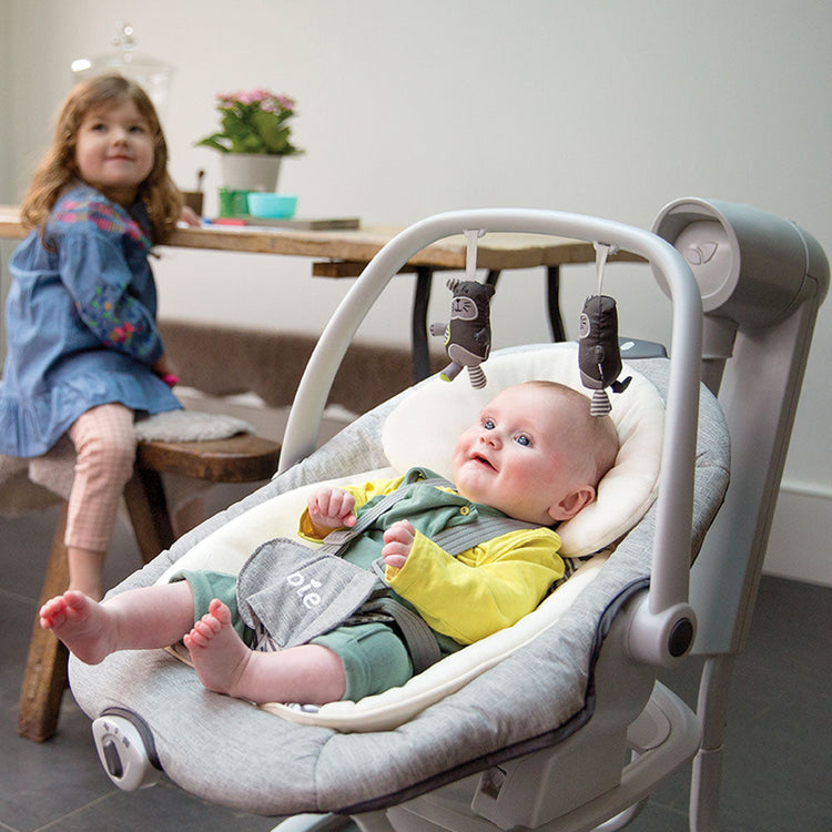 Baby Rocker Buying Guide – Babyluv.in