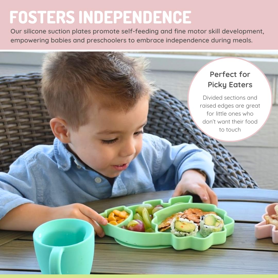 Melii Silicone Divided Plate - 6 to 24 Months