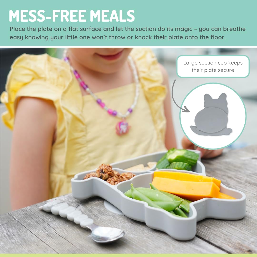 Melii Silicone Divided Plate - 6 to 24 Months