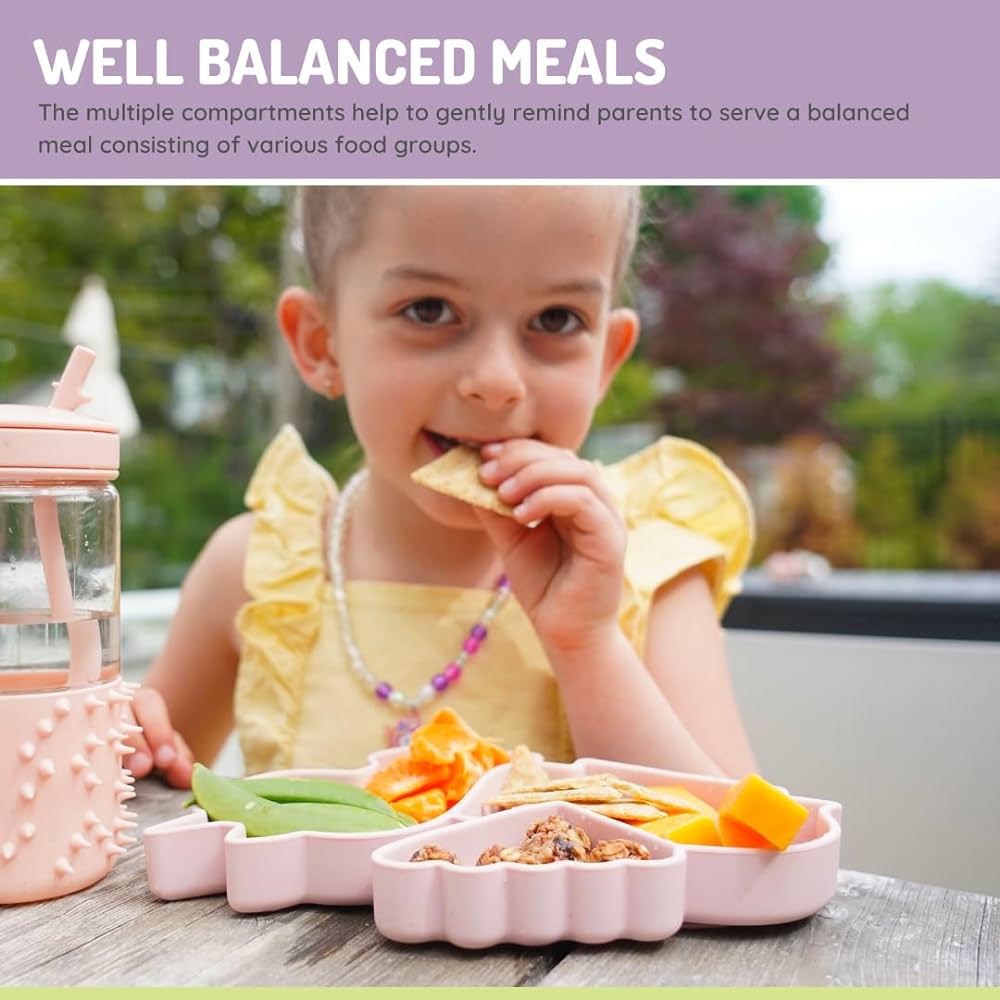 Melii Silicone Divided Plate - 6 to 24 Months