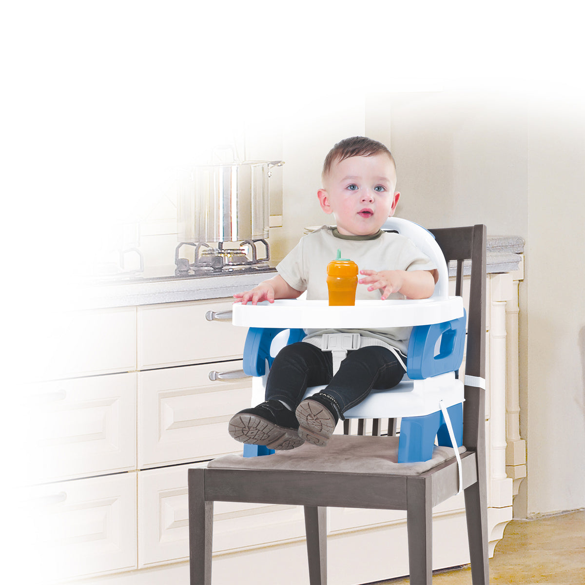 Mastela Folding Booster Seat - 6months to 48months