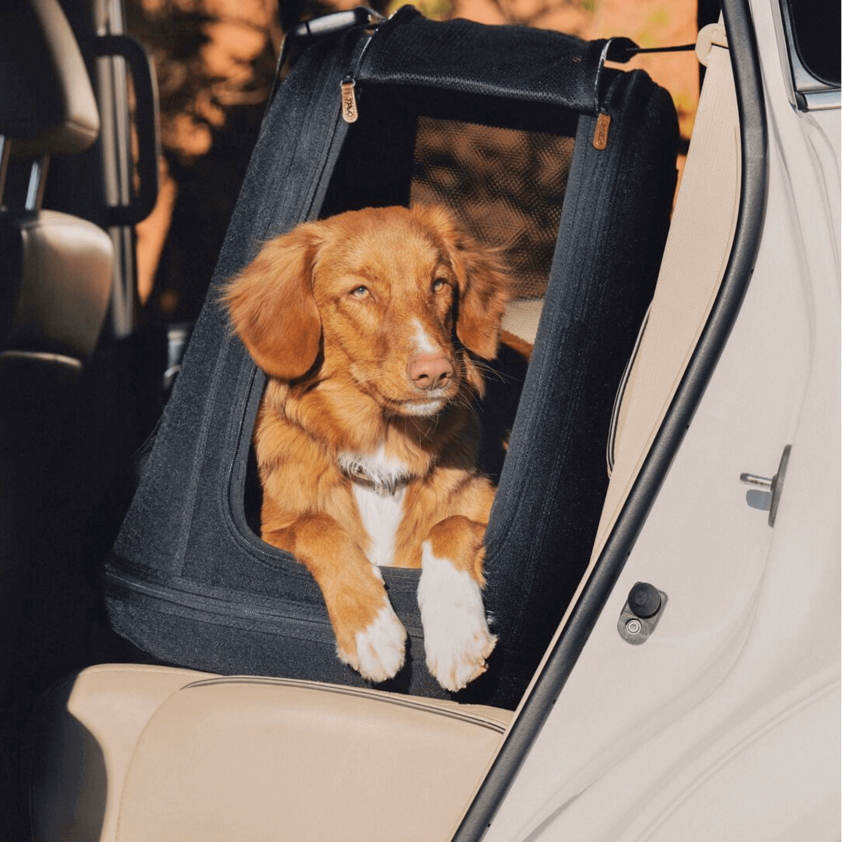 Tavo Pet Carrier Crispin M Onyx