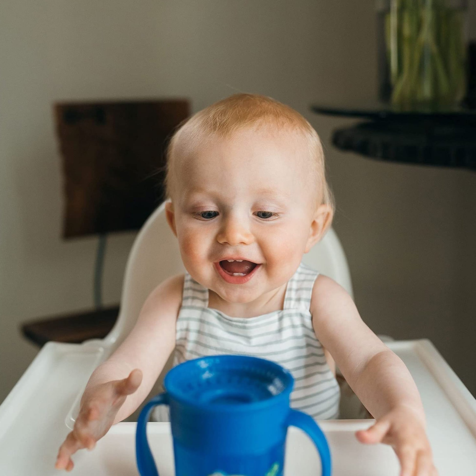 Dr. Brown Smooth Wall Cheers 360 Blue Cup || Used for 9months to 24months