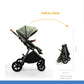 Joie Aeria Stroller || Fashion-Pine || Birth+ to 48months