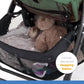 Joie Muze Lx Travel System with Juva || Fashion-Laurel || Birth+ to 36months