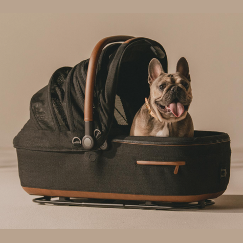Tavo Pet Seat Maeve ISO 5X Onyx